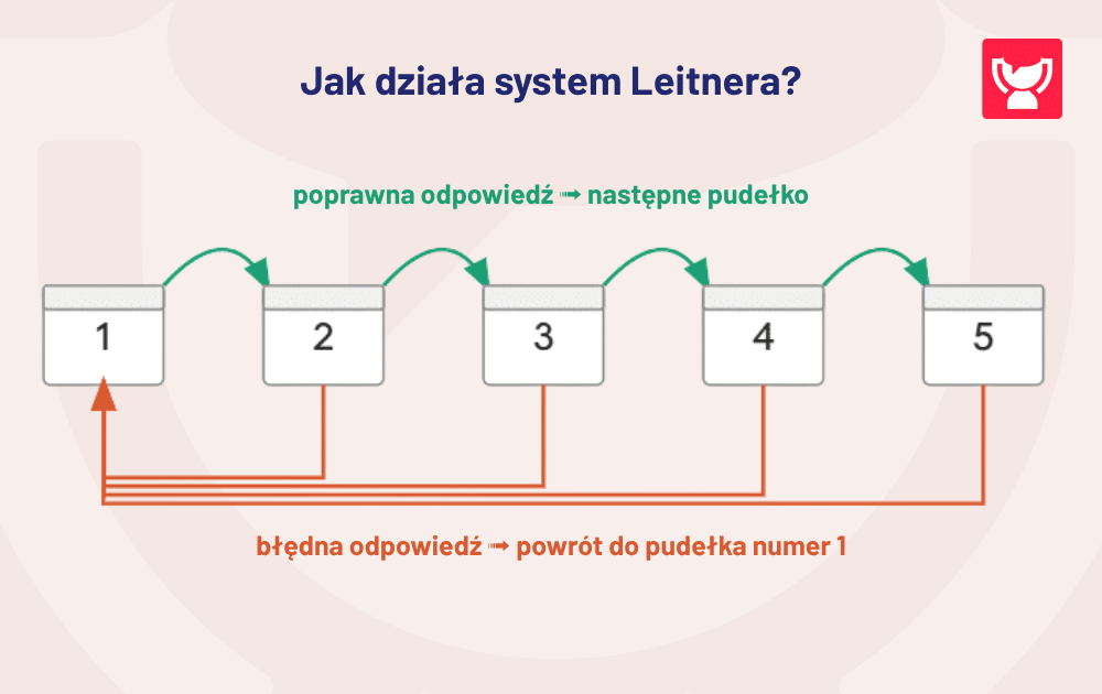 jak działa System Leitnera